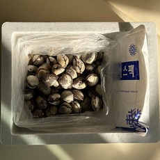 술안주 해감꼬막 국내산 남해 벌교 새꼬막 비빔밥 수산물 꼬막살 무침, 소 1kg (120미 내외), 1