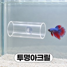 디심플 베타 침대 은신처 베타터널, 1개