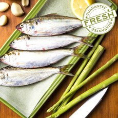 국내산 대왕 떡 전어 1kg 5미 급냉 가을 제철 생선 구이용, 1개, 1000g