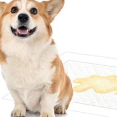 성견배변훈련 말티푸배변훈련 강아지대소변교육 2개월강아지배변훈련 3개월강아지배변훈련 4개월강아지배변훈련, 1개, 550ml