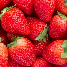 국내산 설향 딸기 소과 중과 대과 24과 20과 15과 350g, 2세트, 대과 15과 350g