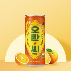 오란씨 오렌지 250ml, 20개