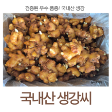 생강씨 800g 국내산 생강종자 생강씨앗 생강구근 씨생강 농사오케이, 1개