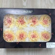 花藝夢 康乃馨日本大地農園02180系列，原裝盒不凋謝康乃馨，母親節永生花禮盒, 02180-520, 1個