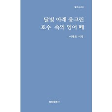 달빛 아래 웅크린 호수 속의 잉어 떼, 이광호(저), 열린출판사, 이광호 저
