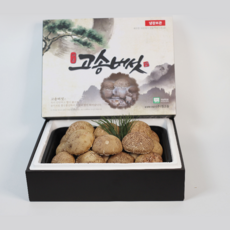 [산지직송 천고송] 당일수확 고송버섯 송화 가정용 무농약 친환경 실속 고급선물용 1kg(프리미엄 선물용 : 특~명품), 1박스, 고송버섯  특상1kg