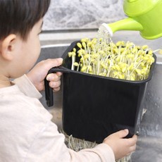 국내산 콩나물재배기사각형+체험콩증정, 1개