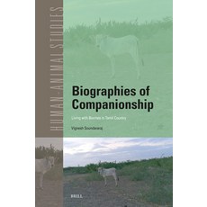 (영문도서)Biographies of Companionship: Living with Bovines in Tamil Country Hardcover, Brill, English, 9789004760509 Brill, English, 9789004760509