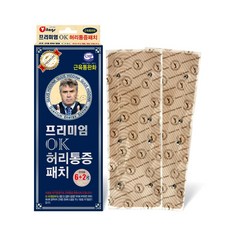 프리미엄 OK 허리통증패치 6+2Pcs 근육통완화 의료용 자기발생기, 1개