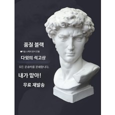 대형 아그리파 석고상 장식 정물 스케치 아그리바 미 조각상 벽걸이 교구, 아그리바 58cm