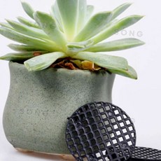 화분 흙 유실방지 배수망 7.5cm 5개입 거름망대