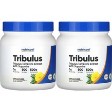 뉴트리코스트 고흡수 트리뷸러스 남가새 파우더, 2개, 500g