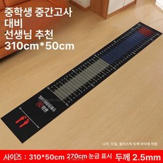 소르베어 제자리멀리뛰기 육상 운동회 측정기 체육, 1개, 교사 추천 초중고등학생용 310x50cm A