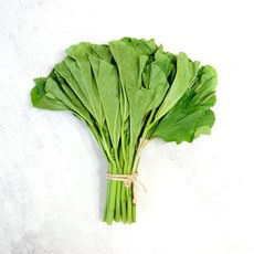 규스팜 국내산 신선 아욱, 1개, 500g