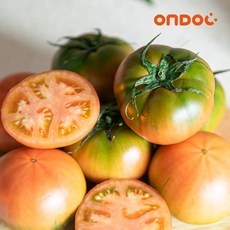 [온도씨]단짠단짠 부산 대저토마토 500g (2S-S), 없음, 1개, 500