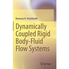 (영문도서) Dynamically Coupled Rigid Body-Fluid Flow Systems Hardcover, Springer, English, 9783030826451