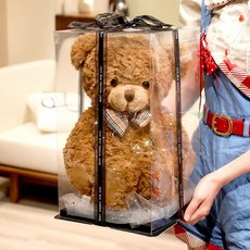수제 테디베어 곰인형 수면인형 애착인형 곰돌이 선물 러블리, 1개, V. 클레어 곰 + 투명 선물 상자 + 조명 자열 +