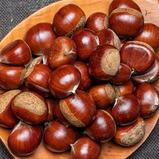 국내산 햇밤 알밤 특대, 10kg, 1박스