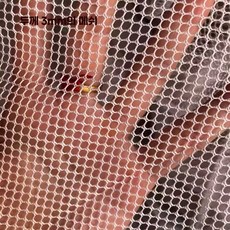 말벌 그물망 메쉬 꿀벌 벌집 보호 양봉 해충방지 러셀망 4mm 안전망