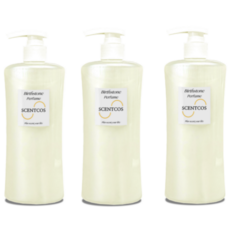 블루베리 퍼퓸등급 대용량 퍼퓸샴푸, 3개