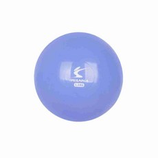 웨이트볼 1.5kg 헬스 운동볼 홈트운동기구 헬스중량볼 가정용운동기구