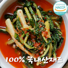 [HACCP인증]시원아삭 특급비법 전라도 열무 물김치, 1개, 1kg