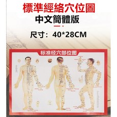 【現貨 附發票】中文繁體版人體經絡穴位圖 艾灸書說明圖 雙面印刷按穴位圖 艾灸圖 鍼灸圖 刮痧圖 拔罐圖, 人體經絡穴位圖 繁體中文