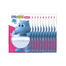 물먹는하마 옷걸이형 제습제 3개월 지속 99% 제습, 10개, 250g