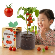 비벨르 식물재배키트 세트 미니텃밭, 방울토마토