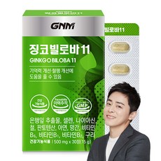 GNM자연의품격 징코 빌로바11, 30정, 1개