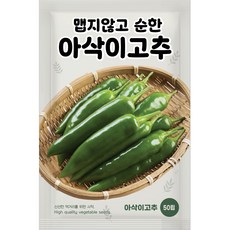 NH농우바이오 순한 아삭이고추 씨앗 50립, 1개