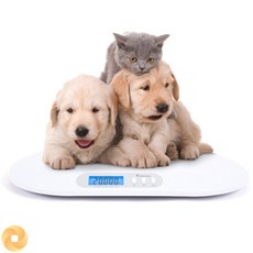 6보급창고 유아용 체중계 화이트 동물병원체중계