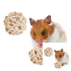 햄스터이갈이 햄스터 새용품 장난감 등나무공, 2-햄스터공5cm 가, 1개, 단일상품1