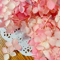 VITO zakka 木繡球永生花DIY乾燥花植物浮游花材花藝材料包拍攝道具DIY創作花材20g, 初戀(米白粉色漸變)(現貨)