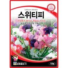 세계종묘 스위티피 씨앗 10립 혼합종 일년생 스위티피 꽃씨 종자, 1개
