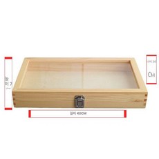 표본 케이스 전시 아크릴 보관함 진열장 액자 채집 수집, 투명 대형 - 40x26x7cm