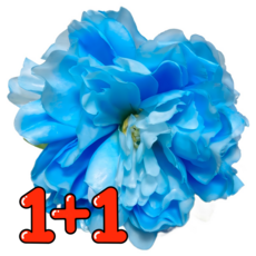 베타 꽃 침대 1+1 은신처 베타 어항꾸미기, 블루, 연핑크