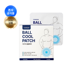 차가이 볼쿨패치 냉감 쿨패치 남성 케어 하이드로겔, 30개