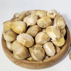 전남 강진 코끼리마늘 소 사이즈 쪽분리한 마늘, 1개, 1kg, 코끼리마늘 소 사이즈 (종자용 , 식용)