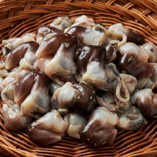 [여수 산지직송] 새조개 손질 새조개살 실중량 200g 당일손질, 1개, 손질 새조개 200g