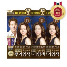 리엔 흑모 뿌리염색 100G 짙은갈색 3개