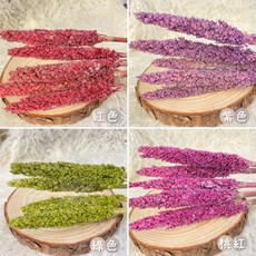 現貨 大把乾燥花 星辰/滿天星/情人草/卡斯比亞 乾燥花花束 永生花 情人節禮物 生日禮物 拍照道具背景 餐廳佈置, 高梁(隨機混色5支)