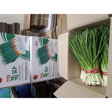 [한정수량] 쪽파 깐쪽파 제주깐쪽파 제주파 실파 손질쪽파 10단 10kg, 1박스