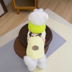 루비바 튼튼한 하네스 겨울 강아지 후드 올인원 패딩 점퍼, 1개, 라이트 그린