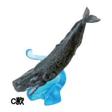 【M.M小舖現貨】BANDAI 轉蛋 扭蛋 生物大圖鑑 鯨魚 海洋生物模型 全4款, 1個, C款/抹香鯨 2A080S