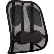 펠로우즈 프로페셔널 메쉬 등받이 쿠션