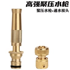 澆花噴頭水槍套裝 園林澆菜水管噴水灑水淋噴霧器花灑洗車神器園藝, 1個, 喷枪+4分金属通水