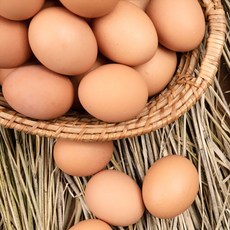 후레쉬 특란 1등급란 달걀 계란, 40구, 1개