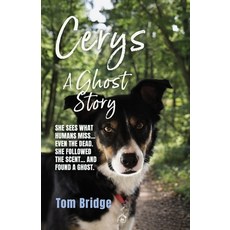 (영문도서)Cerys A Ghost Story: A supernatural murder mystery Paperback, Independently Published, English, 9798196953101