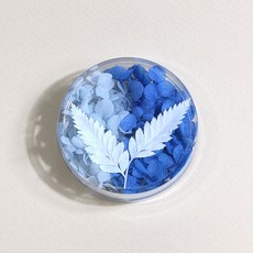 화연양화 프리저브드플라워 수국 화연양화 2색 조합, 5.블루블루